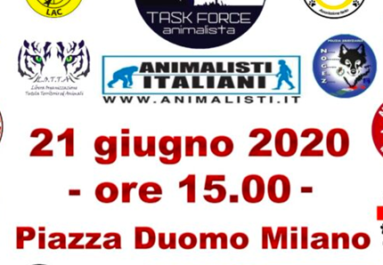 Task Force animalista: tutti in piazza